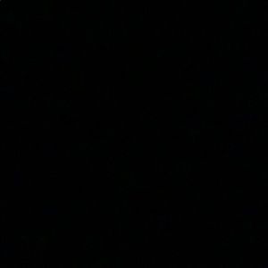 Meet your Posher, Trent